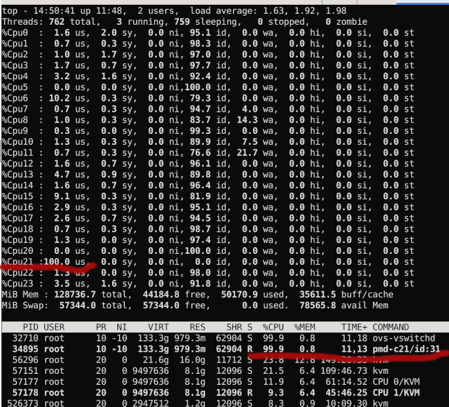 20240708-mlnx-pmd-01.png