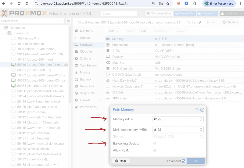 Fail:20260818-proxmox-pve-balloon-01.png