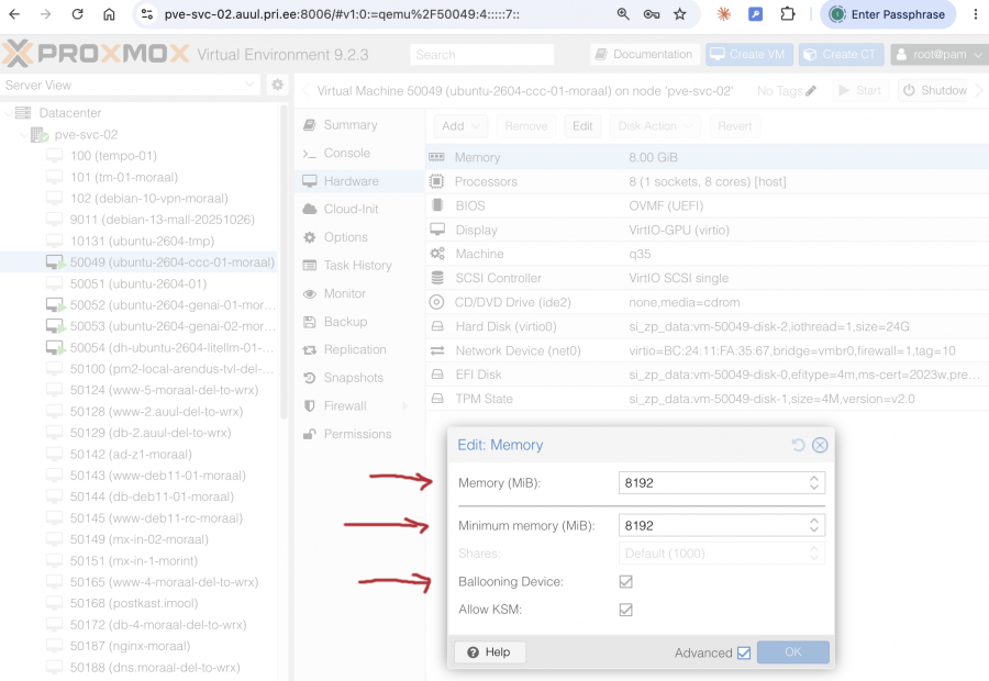 20260818-proxmox-pve-balloon-01.png