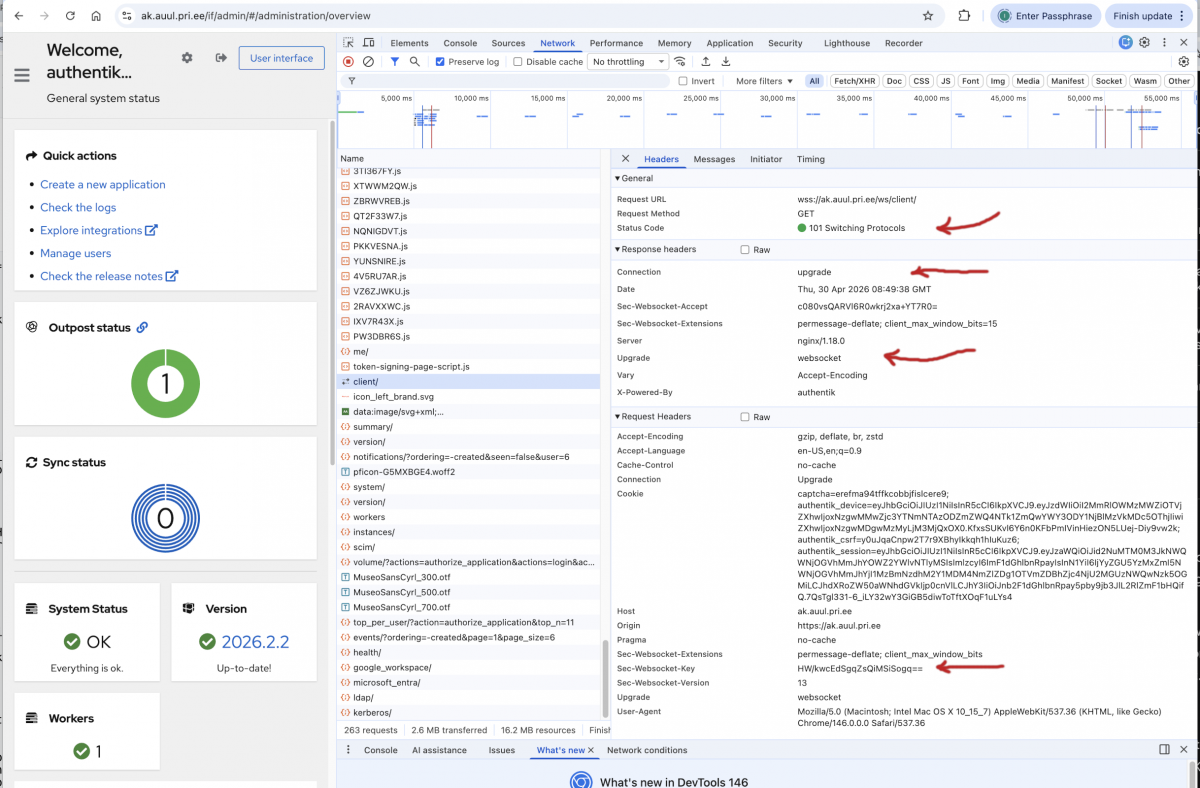 20260430-nginx-proxy-ws-01.png