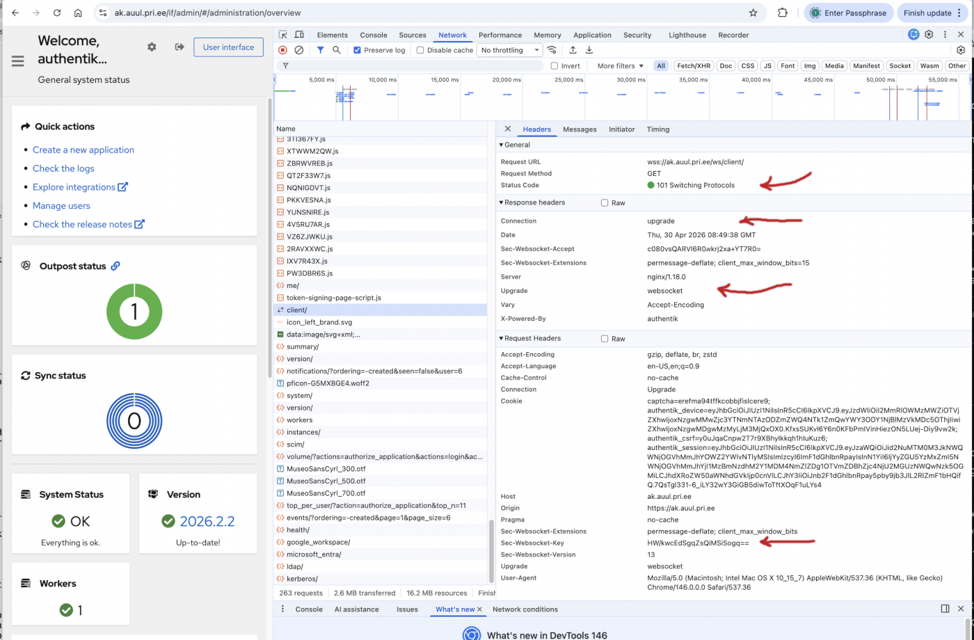 20260430-nginx-proxy-ws-01.png